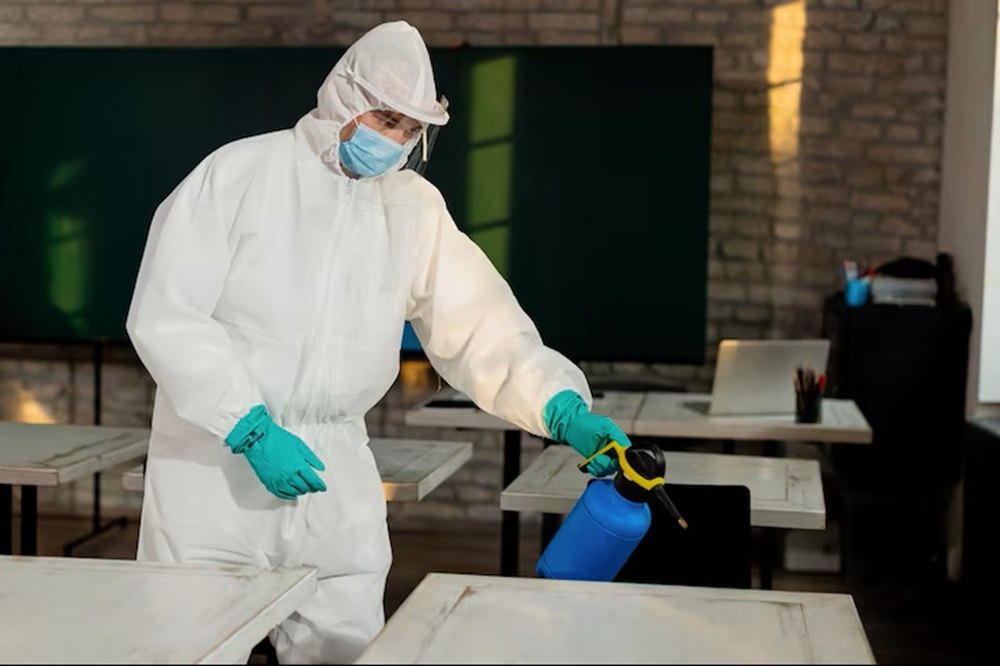 Pest Control Services Delhi | +91 81785 37500
