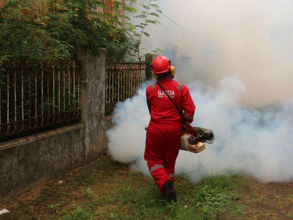Pest Control Services Delhi | +91 81785 37500