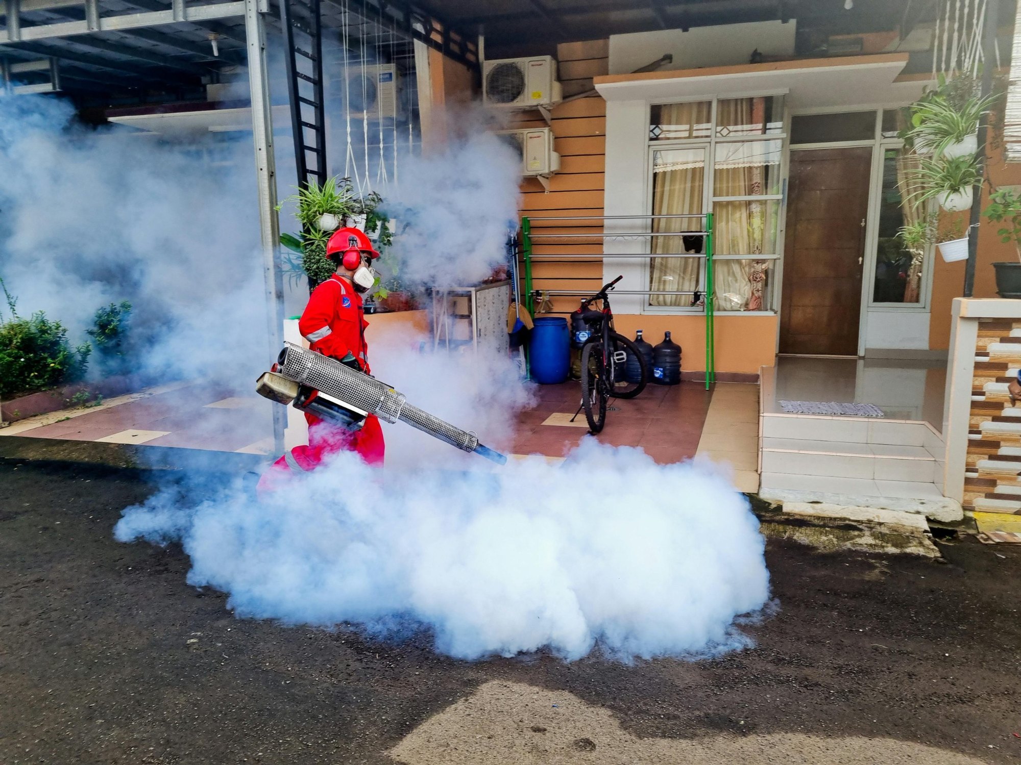 Pest Control Services Delhi | +91 81785 37500