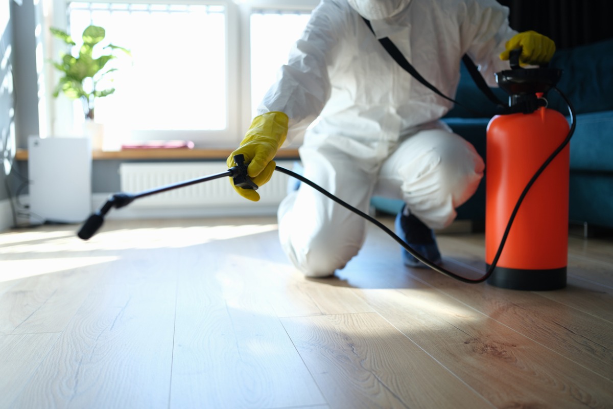 Pest Control Services Delhi | +91 81785 37500