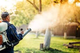 Pest Control Services Delhi | +91 81785 37500